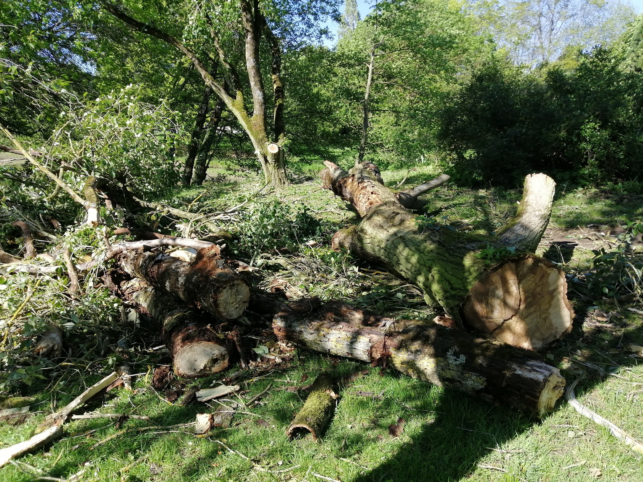 desnoue-thouet-parthenay-4
