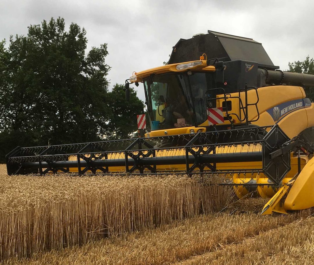 desnoue-moissonneuse-newholland-cx
